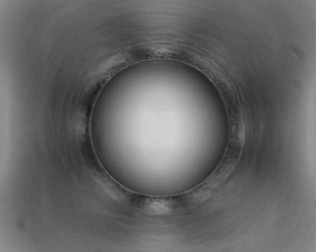 X0000113290710200909141204