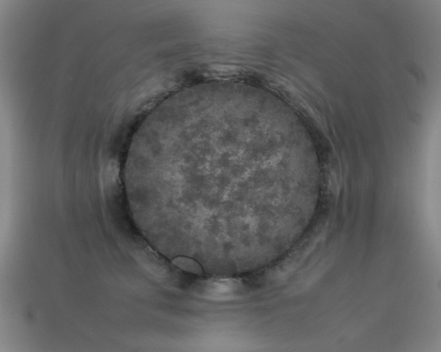 X0000113290711200909141204