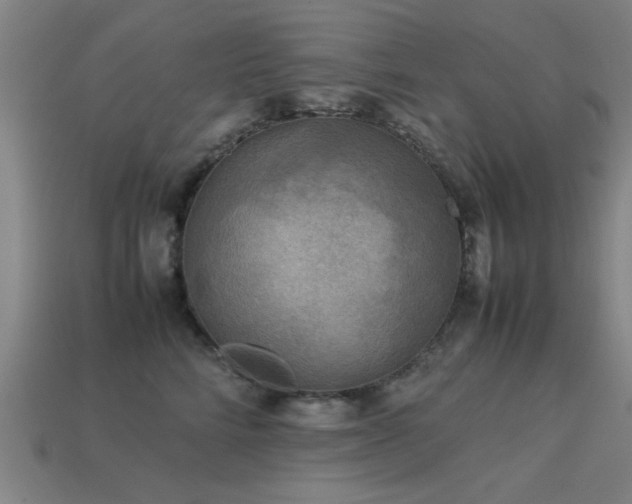 X0000113290712200909141204