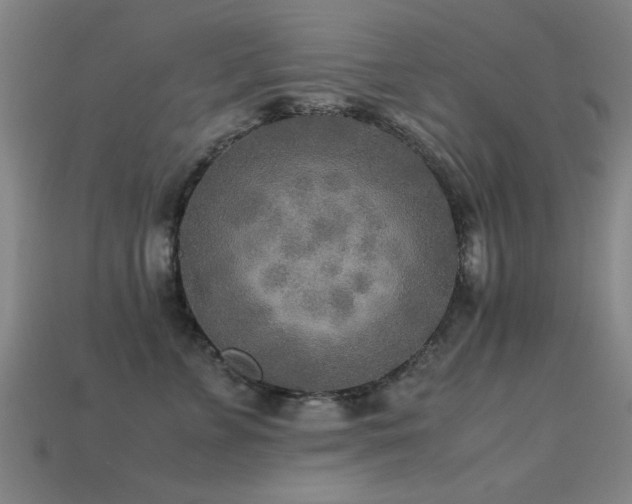 X0000113290715200909141204