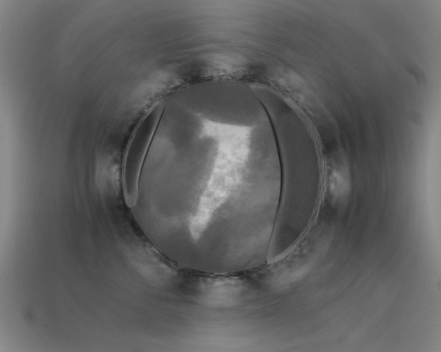 X0000113290716200909141204