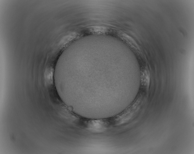 X0000113290717200909141204