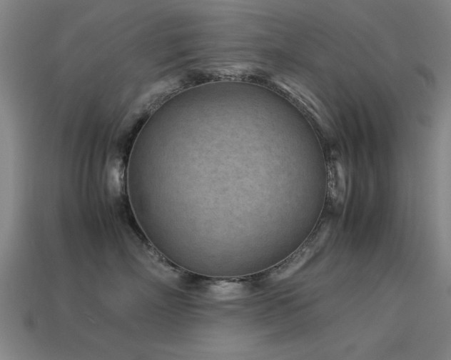 X0000113290718200909141204