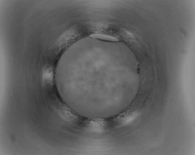 X0000113290720200909141204