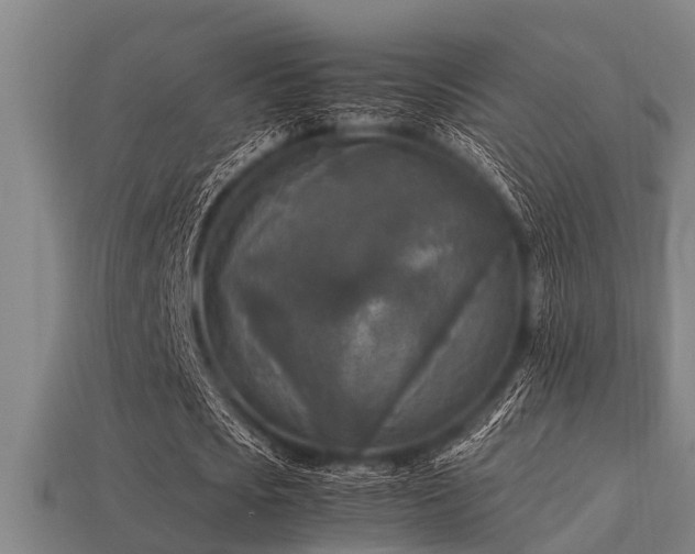 X0000113290721200909141204