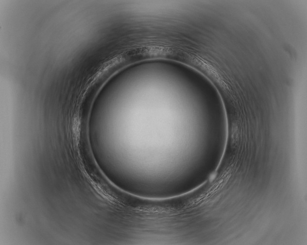 X0000113290722200909141204