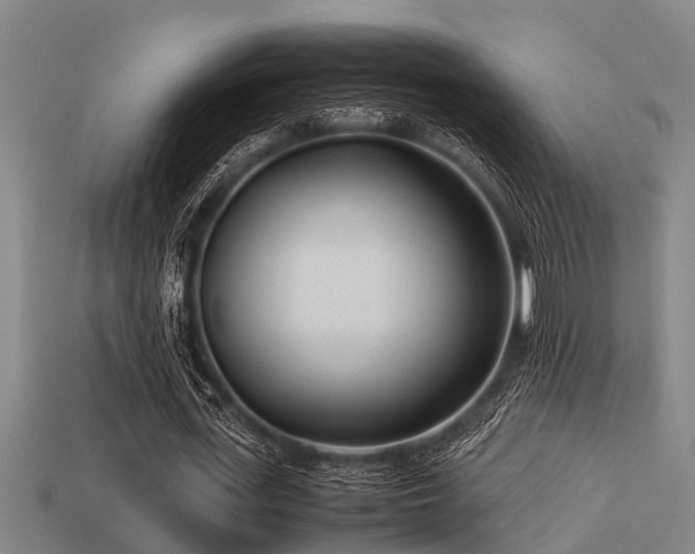 X0000113290723200909141204