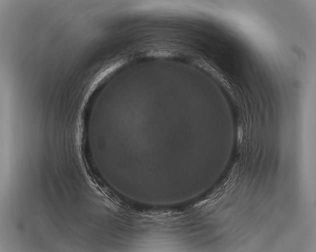 X0000113290724200909141204