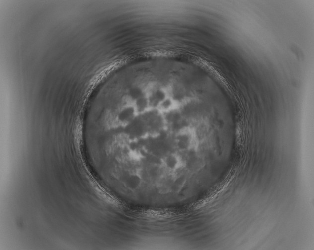 X0000113290725200909141204