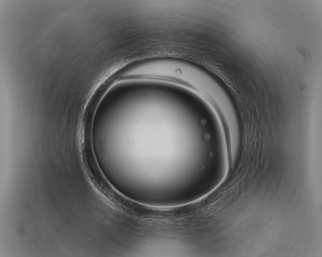 X0000113290726200909141204