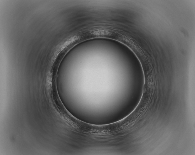 X0000113290727200909141204