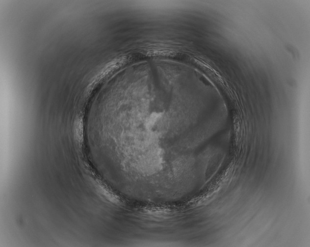 X0000113290729200909141204