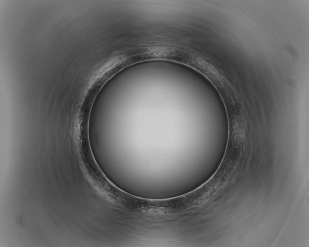 X0000113290730200909141204