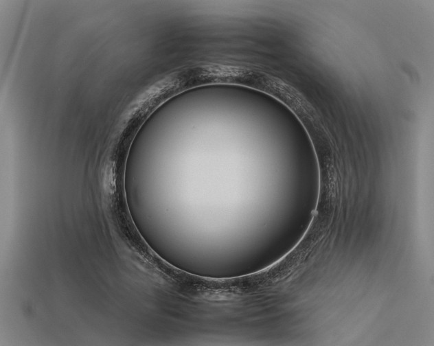 X0000113290731200909141204