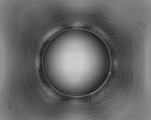 X0000113290732200909141204