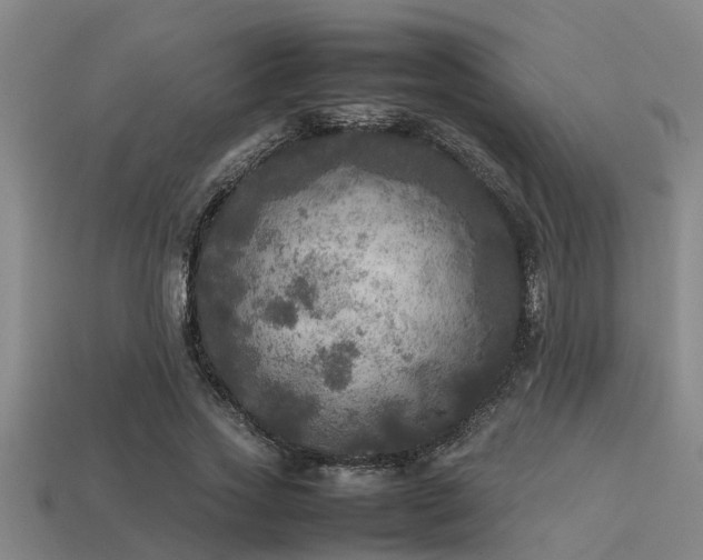 X0000113290733200909141204