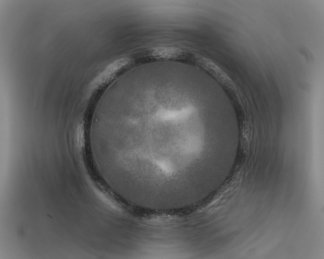 X0000113290734200909141204