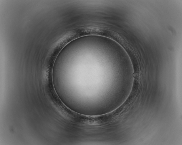 X0000113290735200909141204