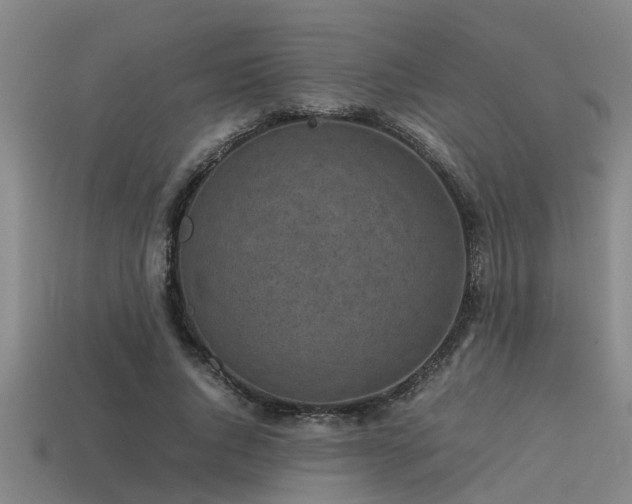 X0000113290736200909141204