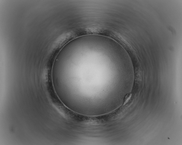 X0000113290738200909141204