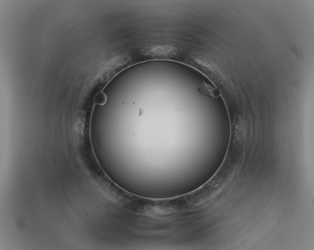 X0000113290739200909141204