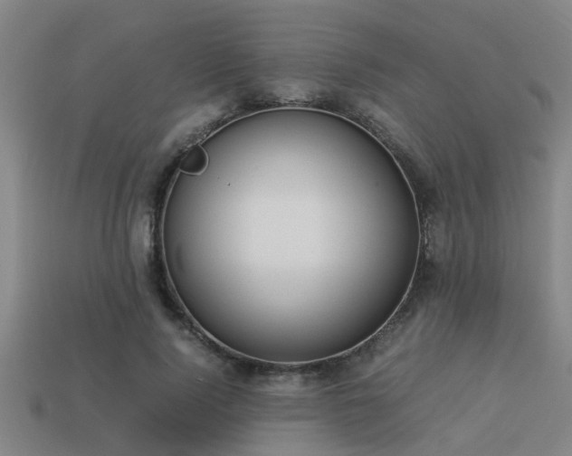 X0000113290740200909141204