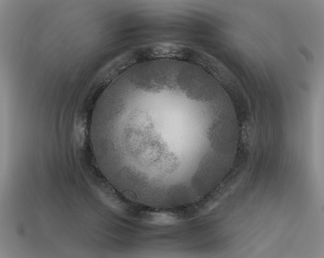 X0000113290741200909141204