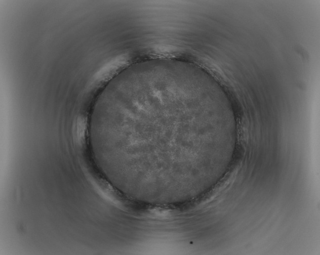 X0000113290742200909141204