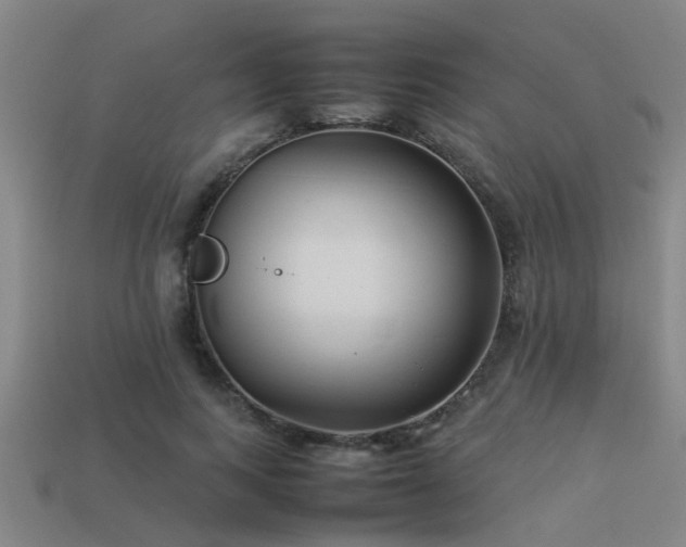 X0000113290743200909141204