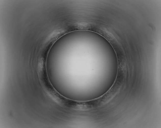 X0000113290744200909141204