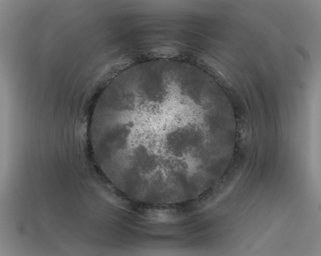 X0000113290745200909141204