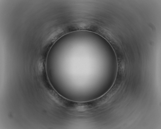 X0000113290746200909141204