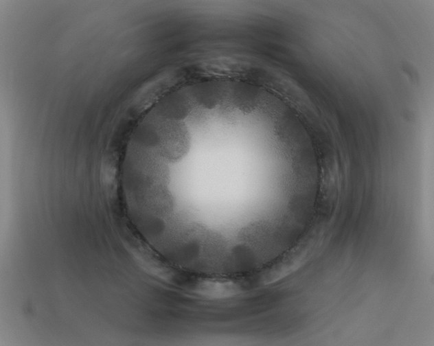 X0000113290749200909141204