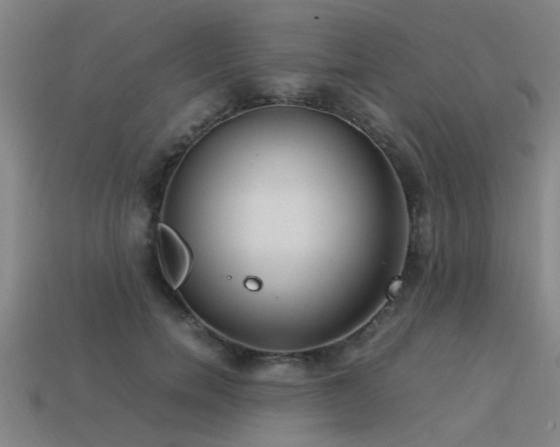 X0000113290750200909141204