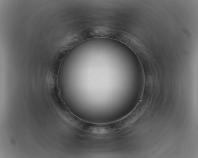 X0000113290751200909141204