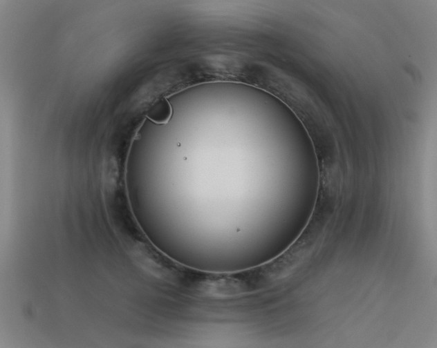 X0000113290752200909141204