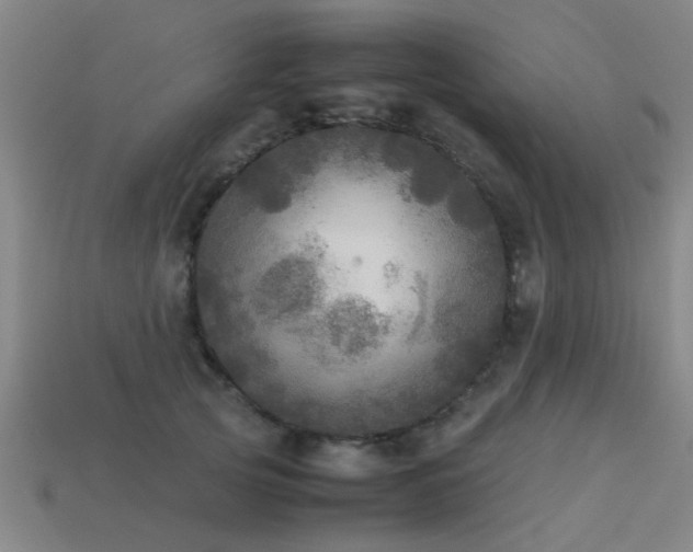 X0000113290753200909141204