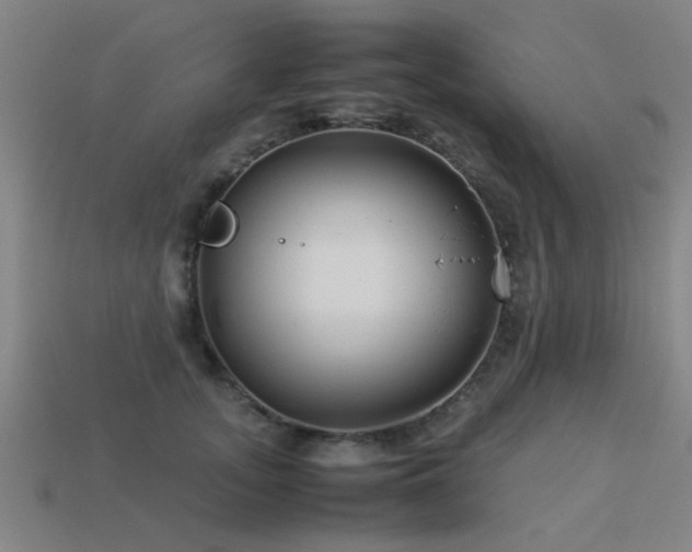 X0000113290755200909141204