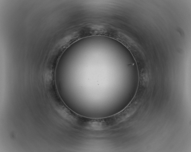 X0000113290756200909141204