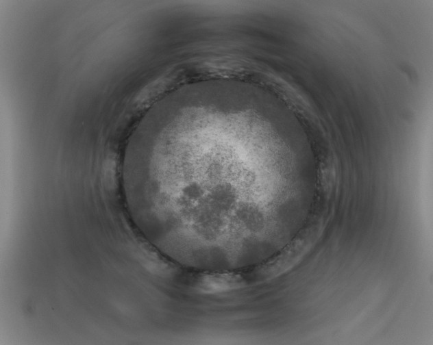 X0000113290757200909141204