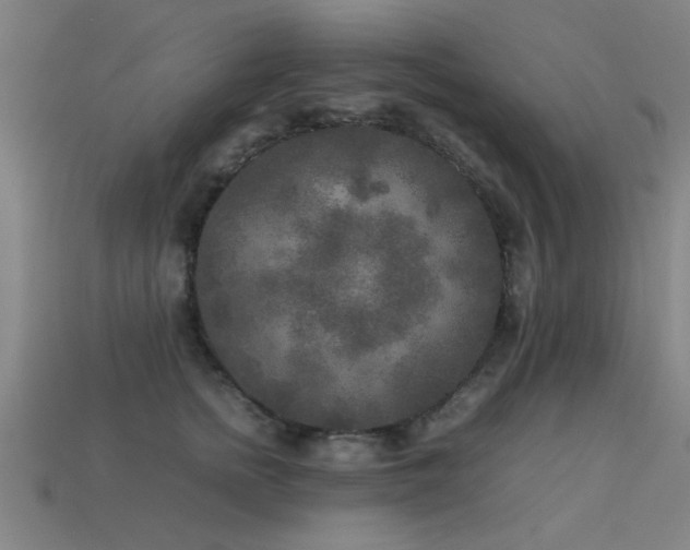 X0000113290758200909141204