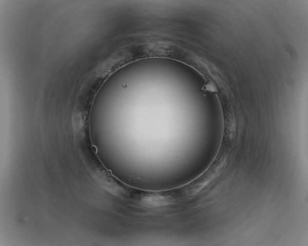 X0000113290759200909141204