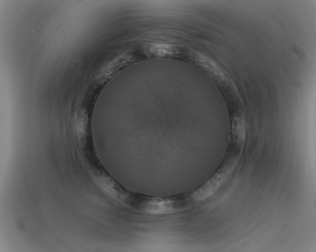 X0000113290760200909141204