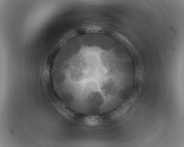 X0000113290761200909141204