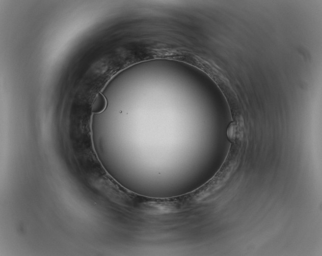 X0000113290763200909141204