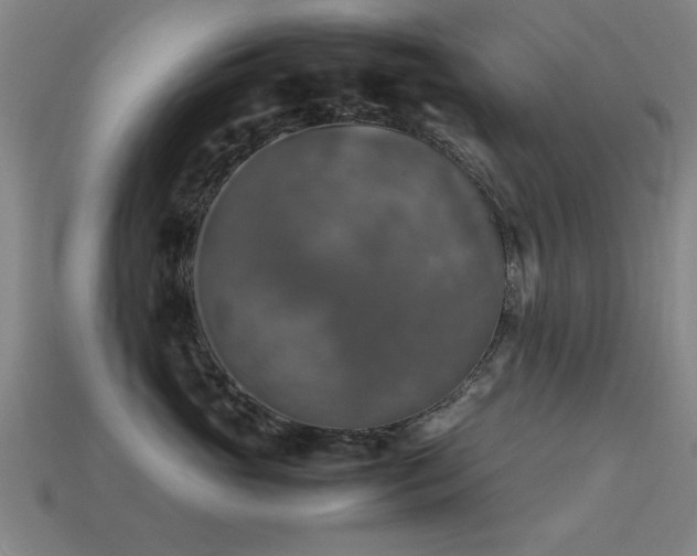 X0000113290765200909141204