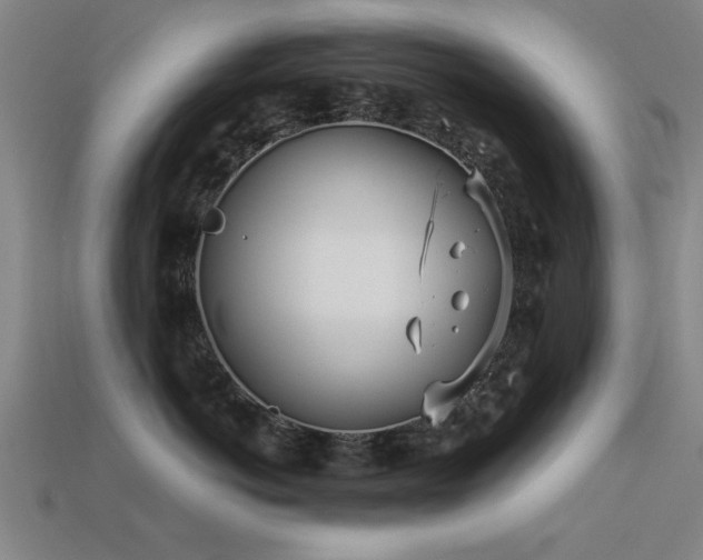 X0000113290766200909141204