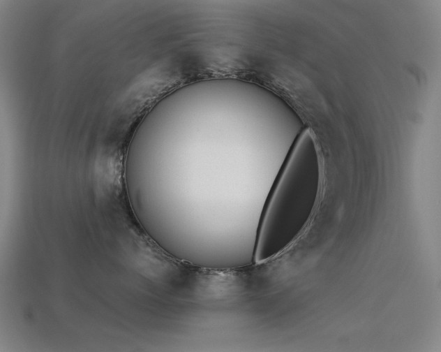 X0000113290768200909141204