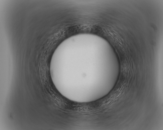 X0000113290769200909141204