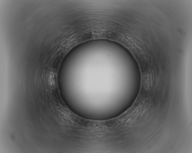 X0000113290770200909141204